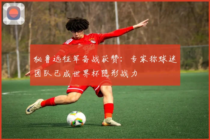 秘鲁远征军备战获赞：专家称球迷团队已成世界杯隐形战力