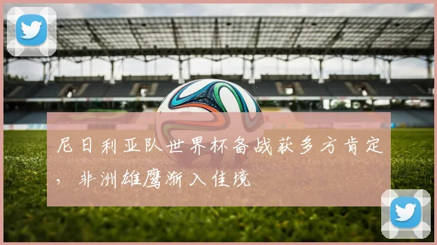 尼日利亚队世界杯备战获多方肯定，非洲雄鹰渐入佳境