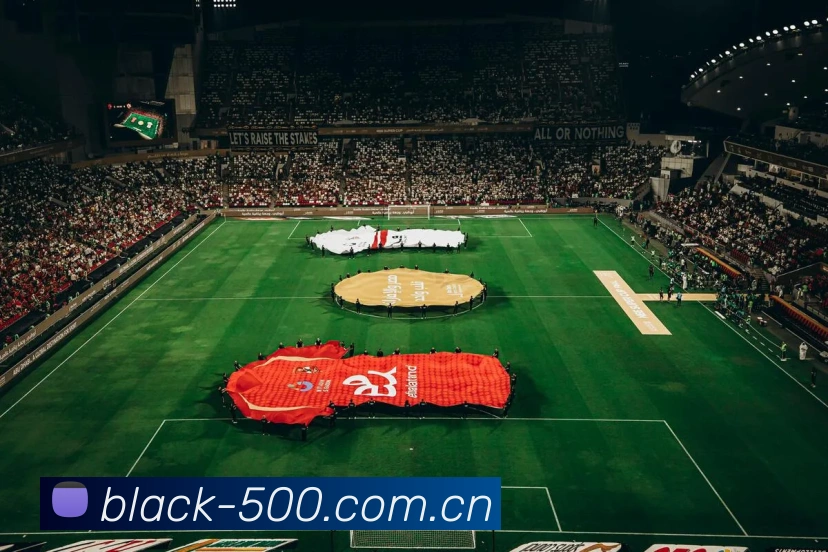 500彩票网发展历程